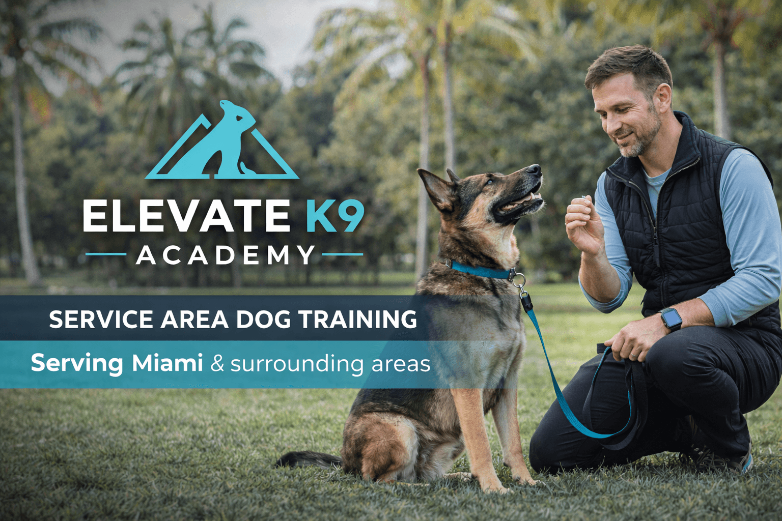 Trainer offering treat to a focused German Shepherd, Elevate K9 Academy dog training.